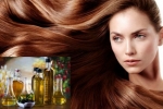 Olivový olej na vlasy
